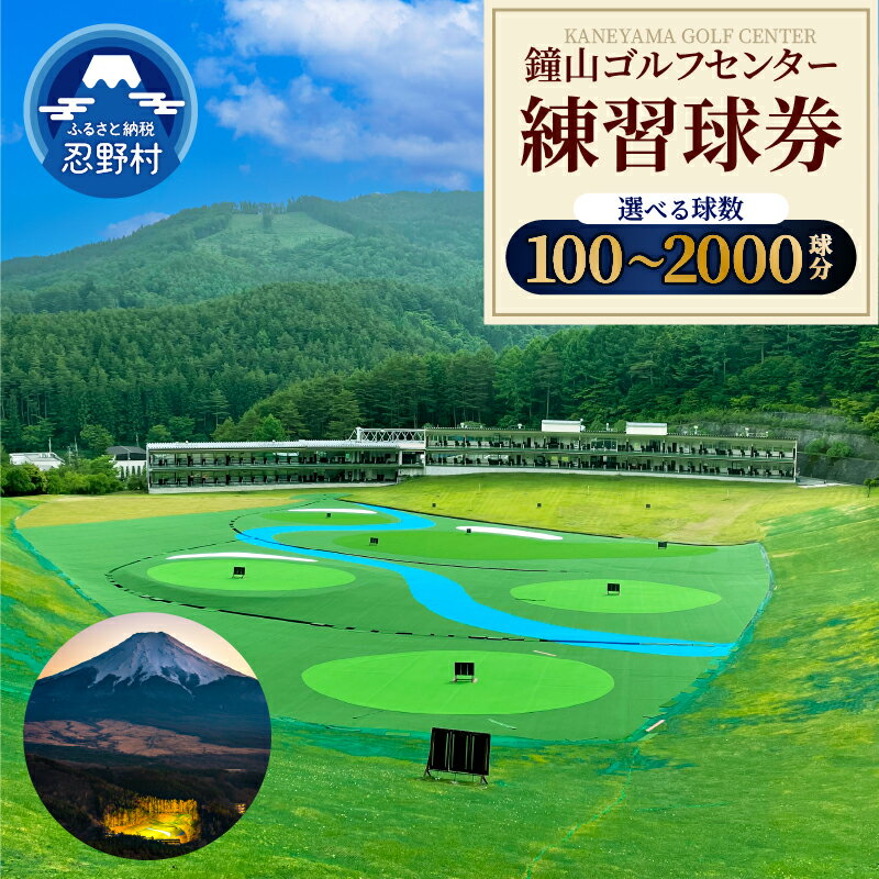 【ふるさと納税】 ゴルフ 練習場 練習球券 引換券 打ち放題 打ちっぱなし トレーニング 練習 ゴルフボール ゴルフクラブ 送料無料 山梨県 忍野村