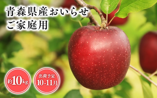 
										
										１０月・１１月発送 【訳あり】家庭用おいらせ10ｋｇ 【そと川りんご園・１０月・１１月・青森県産・平川市・りんご・おいらせ・10ｋｇ・訳あり・家庭用】
									