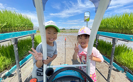 No.480 特別栽培　彩のかがやき　精米10kg