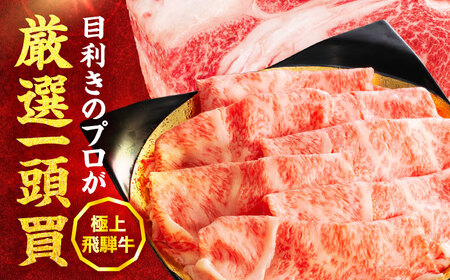 【3回定期便】飛騨牛肩ロース 400g×1パック すき焼きしゃぶしゃぶ用肉【馬力家】すき焼き しゃぶしゃぶ 肉[MHE016]