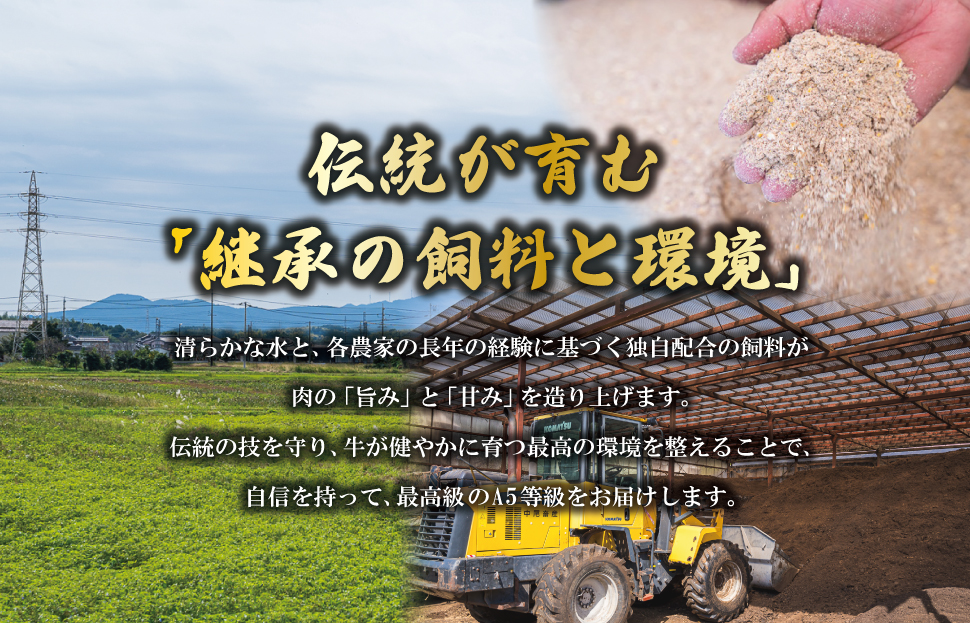 松阪牛 厳選 切り落とし 250g A5ランク A5等級 国産牛 A5 牛肉 使いやすい ブランド牛 小間切れ グルメ 冷凍 お取り寄せ 便利 MA4