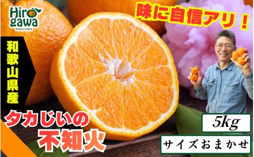 
                  タカじいの 不知火 ( しらぬい ） 5kg / デコポン 甘い 和歌山 有田 柑橘 ※2027年3月上旬～3月下旬に順次発送 【krs010-r-5A】
                