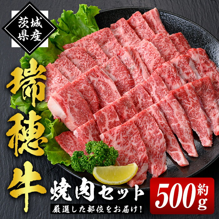 【ふるさと納税】瑞穂牛焼肉セット 約500g 牛肉 やきにく バラ 肩ロース 肩 肩バラ トモサンカク イチボ ブランド牛 冷凍配送 茨城県 お中元 焼肉の日 敬老の日 瑞穂牛 焼肉 10種 盛り合わせ 食べ比べ 国産 肉 BBQ セット 送料無料 【（株）フロンティアロード】 【ho0858】