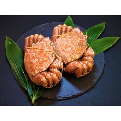 ふるさと納税 広尾町 毛ガニ300g×2杯(冷凍茹で)(0100)
