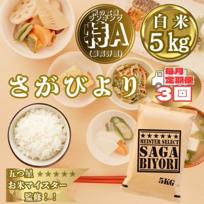 ふるさと納税 大町町 【毎月定期便】『さがびより』白米5kg(大町町)全3回
