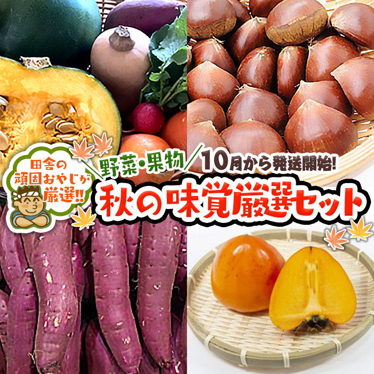 秋 の味覚（野菜・果物）厳選 セット【10月より発送開始】田舎の頑固おやじが厳選！[BI199-NT]