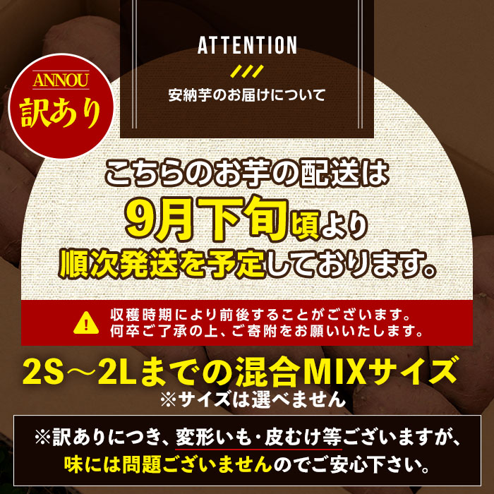 n278 《訳あり》先行予約受付中！2024年9月下旬より順次発送予定！種子島産 安納芋＜黄金＞(期間限定容量11kg)【うずえ屋】