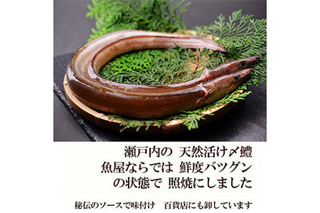  鱧の照り焼き(100g×15切れ)【冷凍】【C-14】