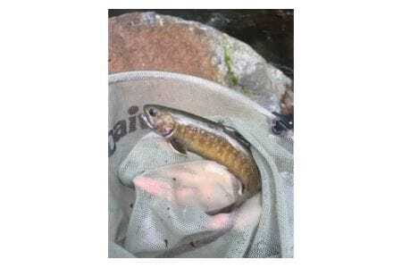 囲炉裏付き古民家に泊まり、ベテラン釣り師と渓流釣りに挑戦!