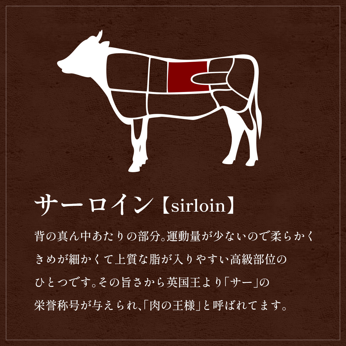 ＜11月20日ご注文分まで年内発送＞肉【和牛セレブ】能登牛 サーロインステーキ 240g 黒毛和牛 サーロイン ステーキ 霜降り ギフト 石川県 能美市