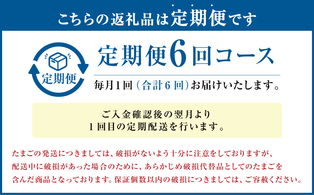【定期便年6回】 球磨球子 60個入 卵 たまご 鶏卵