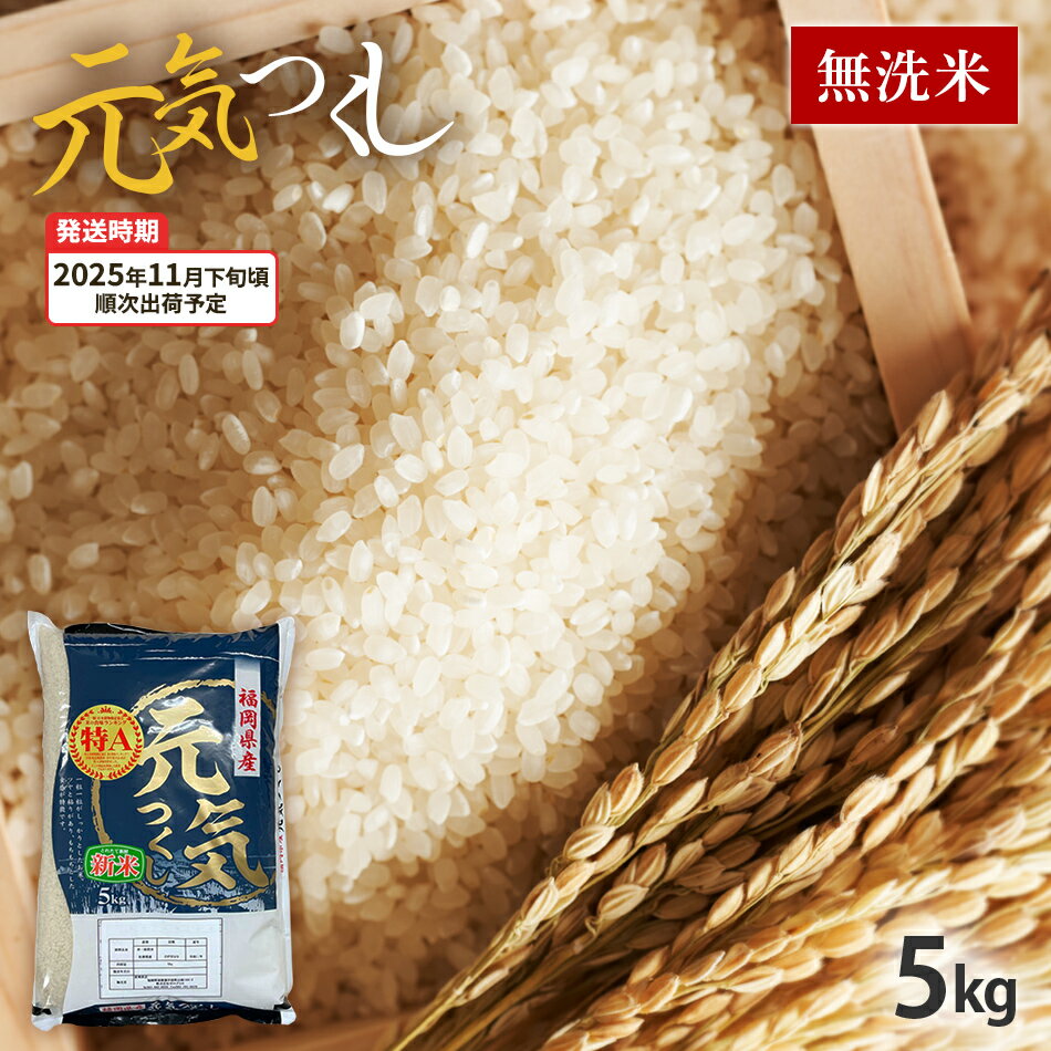 【ふるさと納税】元気つくし 令和7年産　【11月下旬頃より順次出荷予定】福岡県産ブランド米「元気つくし」無洗米　5kg お取り寄せグルメ お取り寄せ 福岡 お土産 九州 福岡土産 取り寄せ グルメ 福岡県