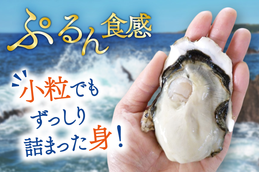 【期間限定発送】 牡蠣 小粒 1〜1年半モノ 生食 殻付き牡蠣 約3kg (約25〜30個入) [住喜水産 宮城県 気仙沼市 20565054] 冷蔵 新鮮 濃厚 真牡蠣 カキ かき 生牡蠣 魚貝類 