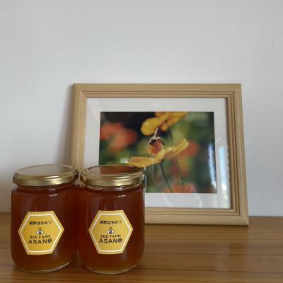 ふるさと納税 瑞浪市 純粋ハチミツ(ソヨゴ300g×2)