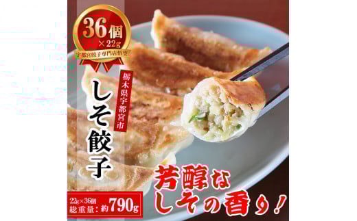 餃子専門店 宇都宮 悟空 しそ餃子 22g×36個入｜ 餃子 冷凍 ぎょうざ ギョーザ 紫蘇 シソ 肉たっぷり 肉多め 人気 名物 行列 国産野菜 国産豚肉 ジューシー スタミナ パリパリ もちもち グルメ おかず おつまみ  栃木県 簡単 小分け 冷凍食品 ※離島への配送不可