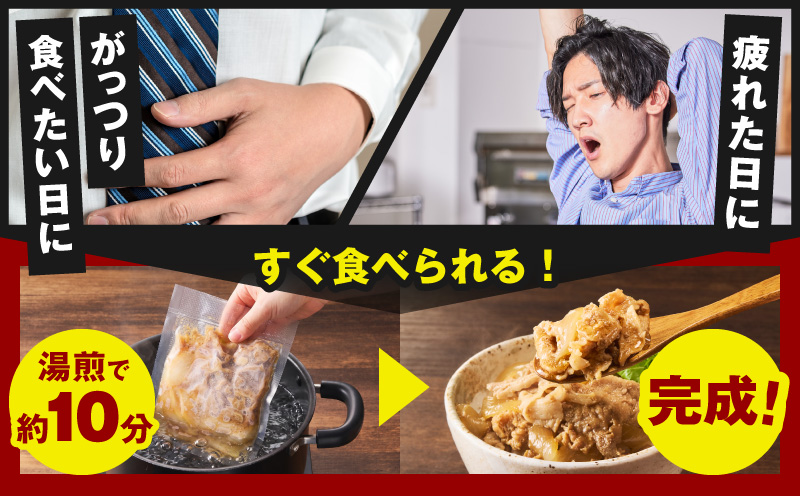 スタミナ丼の具 1.5kg（150g×10パック）湯煎 簡単調理【大阪 泉佐野 大阪府 泉佐野市】