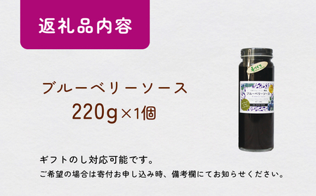 ＜ 先行予約 ＞ ブルーベリーソース 220g 無添加 手作り フルーツソース 果実 さっぱり