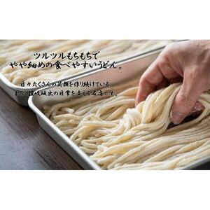 さぬきまるふじ　生うどん　9人前　ざる・醤油