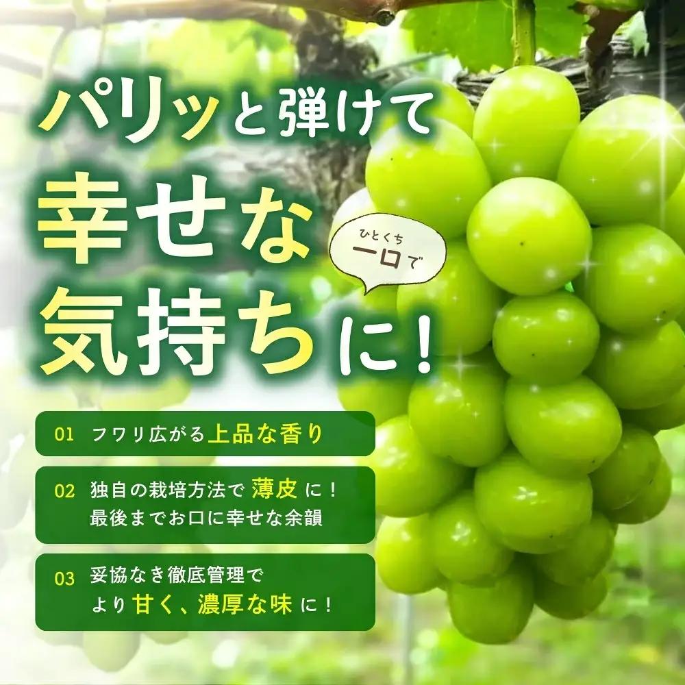 【訳あり】 シャインマスカット 岡山県産ぶどう 訳ありシャインマスカット約4kg（約5～8房） 【hfbd023-02】