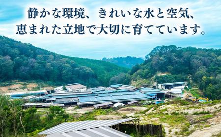 小分け 国産牛 こまぎれ 600g(300gx2)｜ブランド牛 和牛 金井畜産