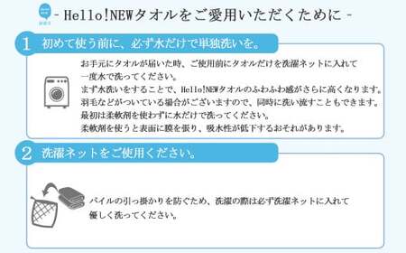 【今治タオル】【Hello!NEW タオル】バスタオル2枚セット　シンプルサンホーキン Bセット（ブルー）