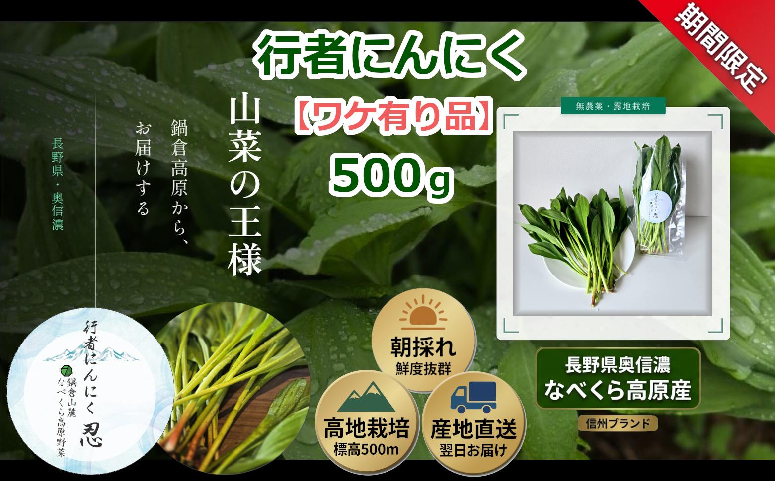 
                  【期間限定】＼訳あり／行者にんにく 忍 500g入り 1箱(70枚～75枚)《出荷時期：2026年5月中旬頃〜》株式会社ForestDoor｜長野県 飯山市 信州 新鮮 直送 山菜 ビタミン 健康  (Ce-014)
                