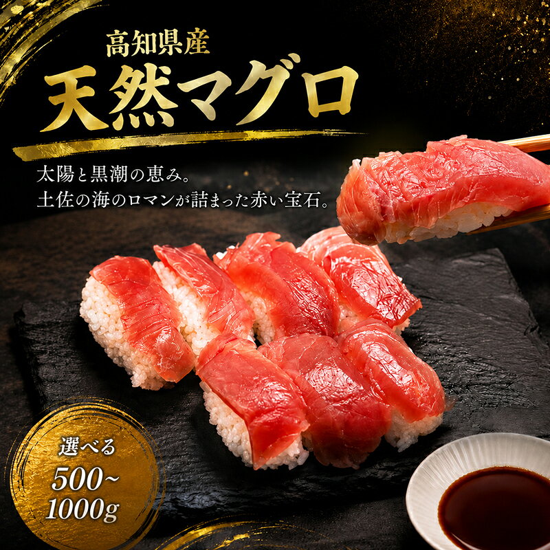 【ふるさと納税】 天然 マグロ 高知県産 赤身 選べる 500g 1000g 1kg 刺身 お寿司 寿司 すし 刺し身 晩ごはん おつまみ おかず 海鮮 高知県 安田町 10000 1万円 KR0001