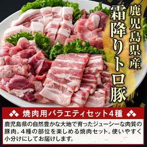 K-379-A 鹿児島県産霜降りトロ豚 焼肉用バラエティセット(合計1kg)【KNOT】霧島市 ロース バラ ウデ モモ 焼き肉 ヤキニク 豚肉 国産 鹿児島県産 肉 精肉 小分け セット 食べ比べ