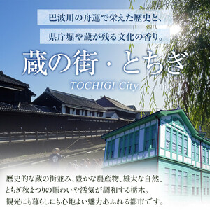 着物で蔵の街ゆっくり散策チケット 小江戸とちぎ賑わい御膳付き（1名様分）【券 人気 おすすめ 】