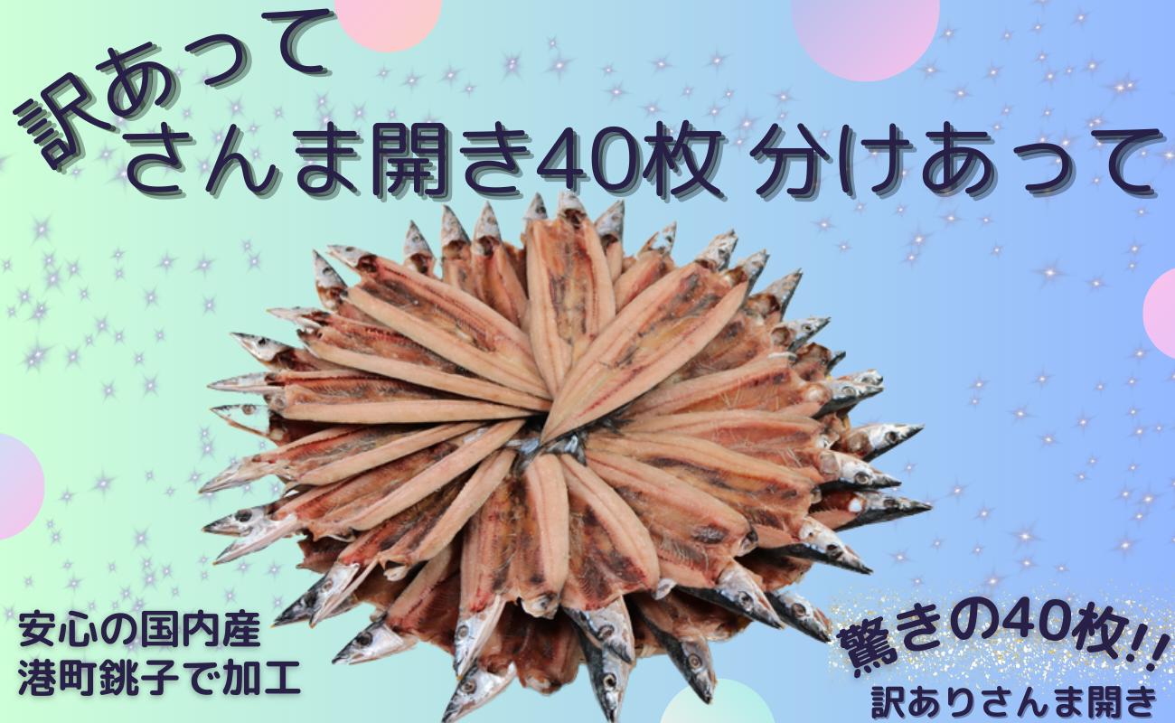 
訳あって さんま開き ４０枚 分け合って 訳あり さんま開き さんま サンマ 秋刀魚 開き 季節の味覚 銚子 海の幸 海鮮 さんま 干物 冷凍 新鮮 千葉県 銚子市
