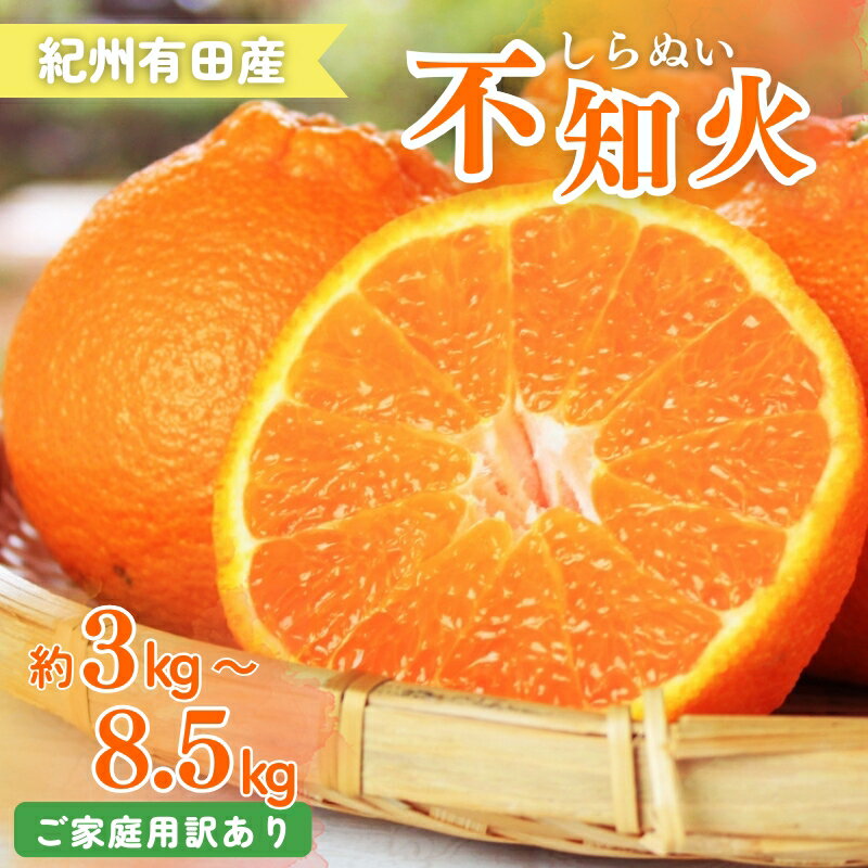 【ふるさと納税】 【ご家庭用訳あり】紀州有田産不知火(しらぬひ) 約3kg～約8.5kg ［デコポンと同品種］【予約】2026年2月中旬頃〜2026年3月中旬頃に順次発送予定(お届け日指定不可) / 不知火 しらぬい しらぬひ みかん オレンジ 柑橘 果物 フルーツ 果実 和歌山県 古座川町