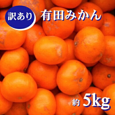 【ふるさと納税】 有田みかん 家庭用 訳あり 5kg 紀州産 キズ サイズ混合 ※11月下旬～翌年1月中旬頃順次発送予定 ※北海道・沖縄・離島配送不可 / みかん 蜜柑 柑橘 果物 くだもの 果実 フルーツ 国産 和歌山 有田