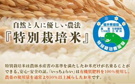【令和5年産】特別栽培米 いっちょらい 無洗米 5kg ／ 福井県産 ブランド米 コシヒカリ ご飯 白米 新鮮 大賞 受賞
