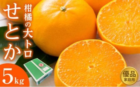 せとか 5kg ご家庭用 選べる等級 優品 柑橘 大トロ くだもの 数量限定 フルーツ みかん 愛媛 松山【OS0092】