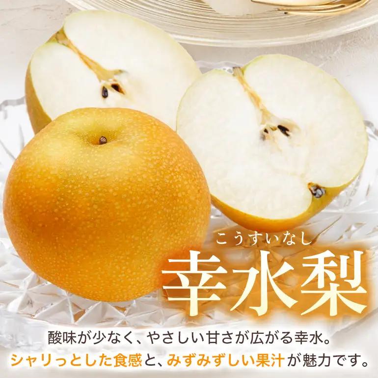 【ふるさと納税】【先行予約】幸水梨 幸水 5kg 10玉～14玉 梨 なし ナシ 完熟 福岡県産 うきは市 大容量 フルーツ 果物 くだもの 甘い ジューシー 旬 秋の味覚 お中元 ギフト 贈り物 家