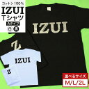 【ふるさと納税】【サイズ＆色選択可能】IZUI Tシャツ (Aタイプ)　【衣料 ファッション 人気 おすすめ 送料無料】色選択可能】 | 衣料 ファッション 人気 おすすめ 送料無料