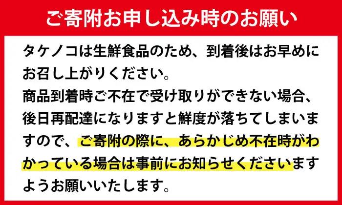 【先行予約】 訳あり 鹿児島県 出水市産 希少 高級食材 夏 たけのこ 皮付き 約2kg 【シンタク】 i342
