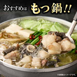 宮崎県産 ミックス ホルモン 500g×2P 計1kg（牛肉 肉 ホルモン 黒毛和牛 もつ鍋 焼肉 鍋）