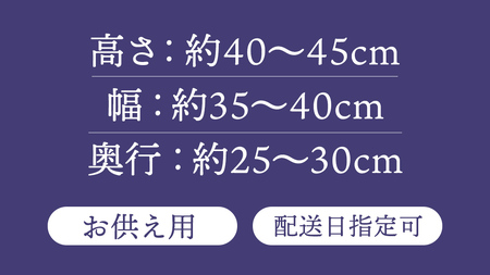【配送日指定可】 季節の お供え用 アレンジメント フラワー 仏花 お盆 お供え お悔やみ 仏事 法事 命日 お盆 秋彼岸 春彼岸 正月 生花 フラワーアレンジメント [CY009sa]