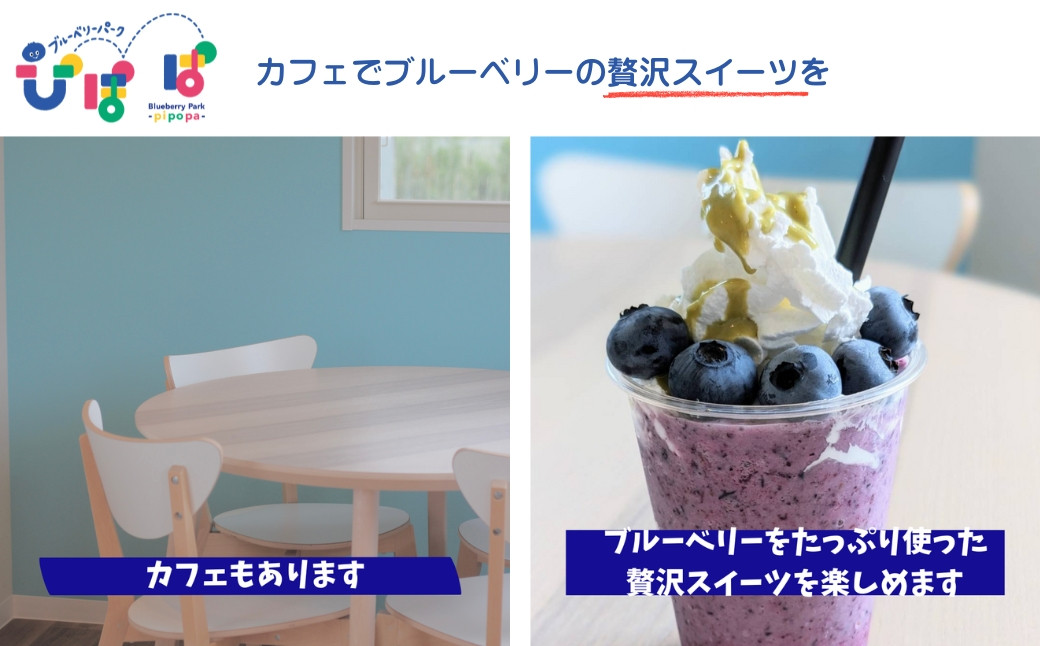 ブルーベリー狩り 食べ放題 時間無制限 大粒 ペアチケット 農薬不使用 19品種 夏季限定 ブルーベリーパークぴぽぱ