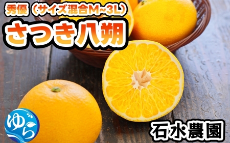 さつき八朔10kg 秀優品 (サイズ混合)【ism022-p-10】