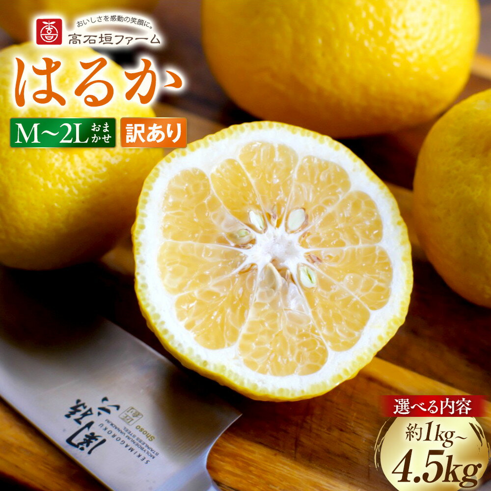 【ふるさと納税】【選べる容量】訳あり はるか 1～4.5kg M～2Lサイズおまかせ 高石垣ファーム | みかん 蜜柑 フルーツ 果物 くだもの 食品 人気 おすすめ 送料無料