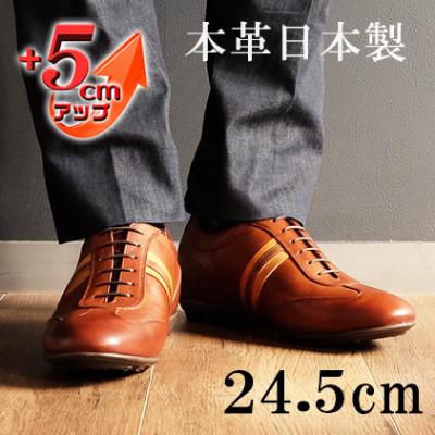 ふるさと納税 大和郡山市 レザースニーカー 紐タイプ 5cmアップシークレットシューズ No.899 ブラウン 24.5cm