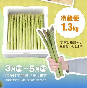 SB0879　グリーンアスパラガス 砂丘育ちの「甘えんぼう」　1.3kg