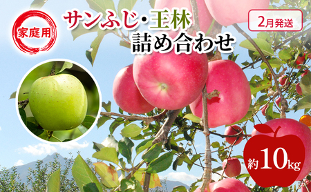 りんご 【 2月発送 】 糖度13度～家庭用 サンふじ ・ 王林 詰め合わせ 約 10kg