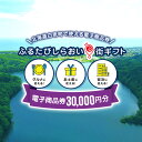 【ふるさと納税】ふるたびしらおいe街ギフト　30,000円分白老町 旅行 北海道旅行 チケット 電子商品券 ふるさと納税 旅行