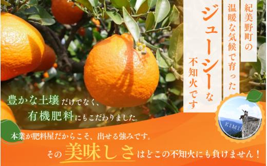  【先行予約】秀品 ハウス不知火 2kg※箱込み【L～4Lのサイズおまかせ】【2026年1月下旬から2026年２月下旬頃に順次発送】＜味好農園＞/不知火 デコポン 蜜柑 みかん 柑橘 果物 フルーツ 