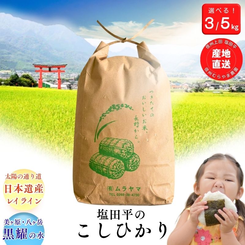 【ふるさと納税】こしひかり 米 3kg 5kg 塩田平の「晴米」 コシヒカリ こしひかり 精米　お届け：2026年11月上旬～2027年6月中旬