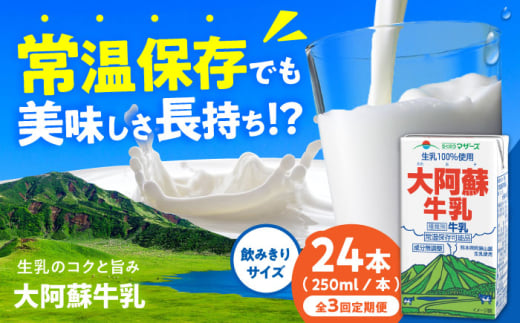 【全3回定期便】大阿蘇牛乳 ロングライフ 250ml 24本（12本入り×2ケース） 6L【合同会社 福福堂】 [AYAC027]