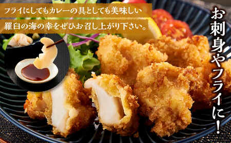 羅臼産つぶ 250g×2 つぶ 人気 北海道 刺身 天然